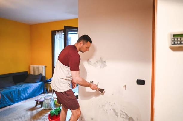 Best Commercial Mold Removal  in Mountain Lakes, NJ